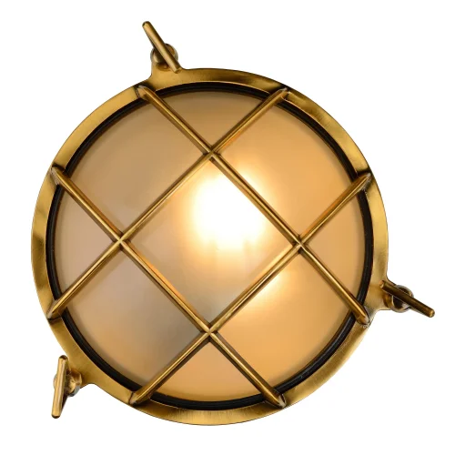 Настенный светильник Dudley 11890/25/02 Lucide уличный IP65 латунь матовый золото 1 лампа, плафон белый в стиле современный винтаж E27 фото 3